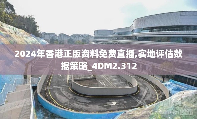 2024年香港正版资料免费直播,实地评估数据策略_4DM2.312