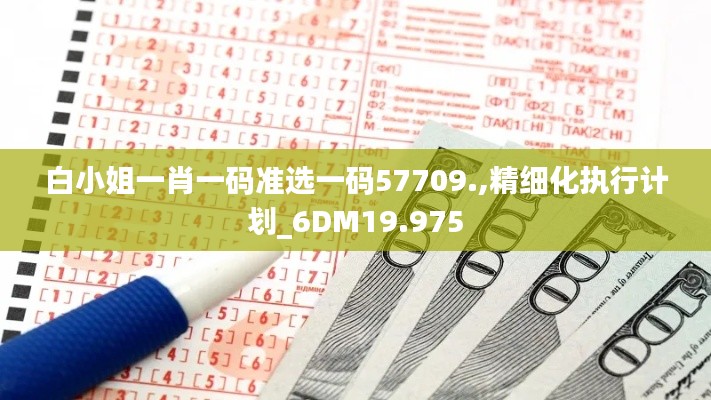 白小姐一肖一码准选一码57709.,精细化执行计划_6DM19.975