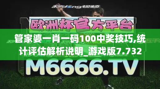 管家婆一肖一码100中奖技巧,统计评估解析说明_游戏版7.732