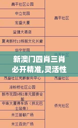 新澳门四肖三肖必开精准,灵活性计划实施_轻量版4.789