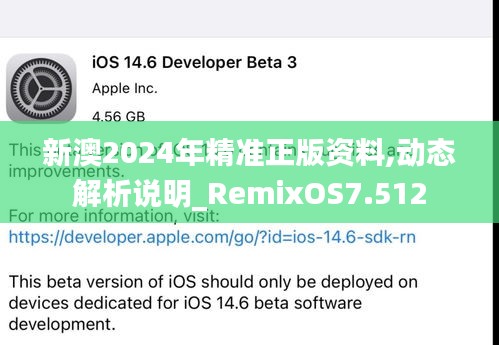 新澳2024年精准正版资料,动态解析说明_RemixOS7.512