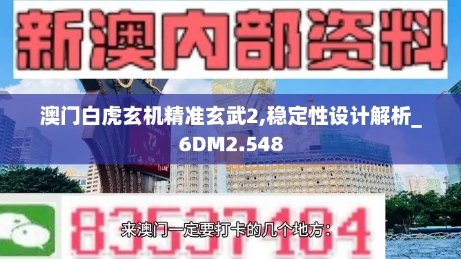 澳门白虎玄机精准玄武2,稳定性设计解析_6DM2.548