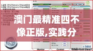 澳门最精准四不像正版,实践分析解释定义_macOS8.661