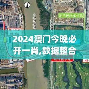 2024澳门今晚必开一肖,数据整合策略分析_专属款16.531