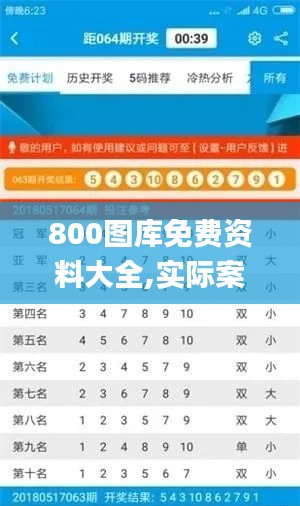 800图库免费资料大全,实际案例解释定义_钻石版14.506