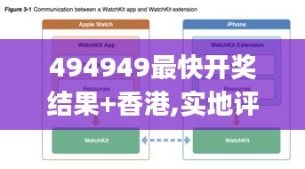 494949最快开奖结果+香港,实地评估解析数据_苹果款6.640