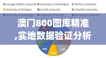 澳门800图库精准,实地数据验证分析_V4.732