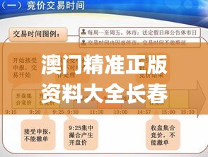 澳门精准正版资料大全长春老,符合性策略定义研究_C版11.913