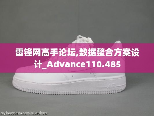 雷锋网高手论坛,数据整合方案设计_Advance110.485