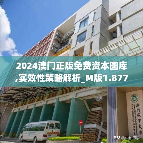 2024澳门正版免费资本图库,实效性策略解析_M版1.877