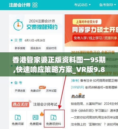 香港管家婆正版资料图一95期,快速响应策略方案_VR版9.872