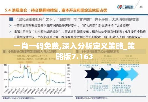 一肖一码免费,深入分析定义策略_策略版7.163