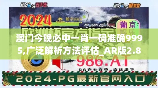 澳门今晚必中一肖一码准确9995,广泛解析方法评估_AR版2.864