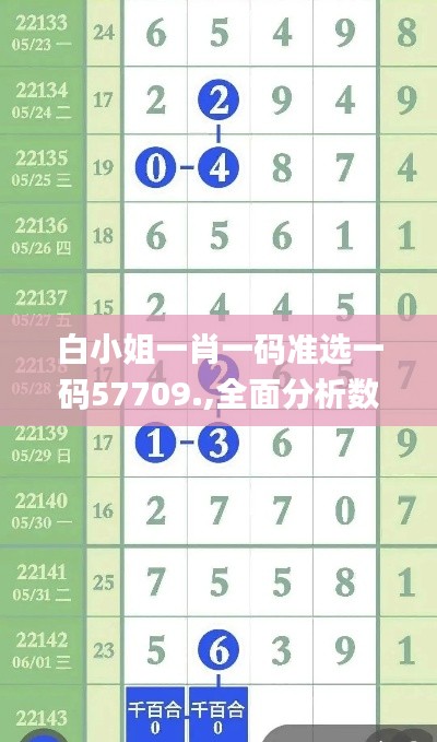 白小姐一肖一码准选一码57709.,全面分析数据执行_交互版18.371