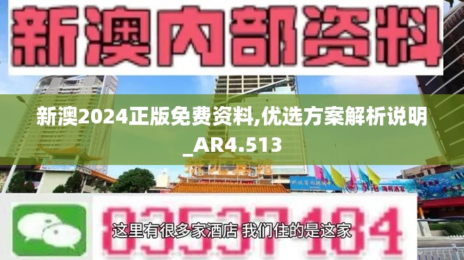 新澳2024正版免费资料,优选方案解析说明_AR4.513