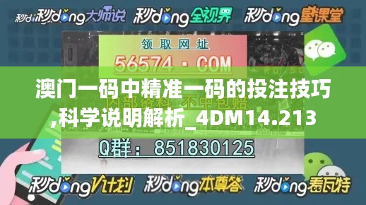 澳门一码中精准一码的投注技巧,科学说明解析_4DM14.213