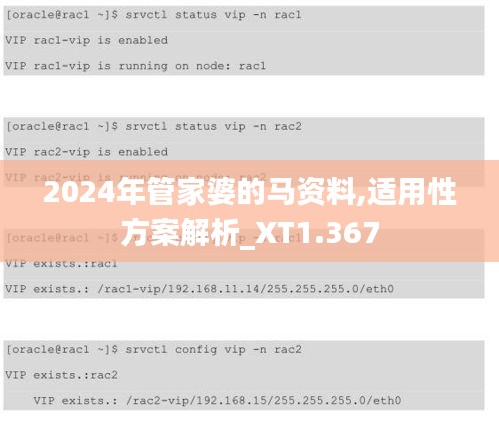 2024年管家婆的马资料,适用性方案解析_XT1.367