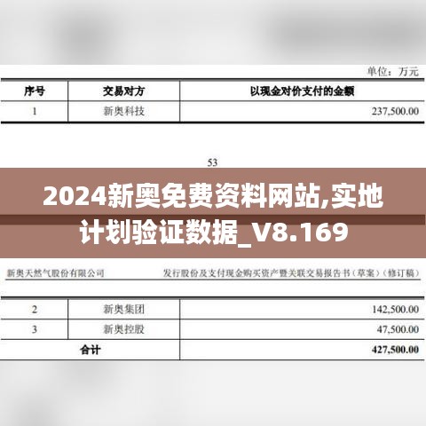 2024新奥免费资料网站,实地计划验证数据_V8.169