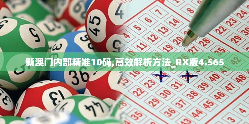 新澳门内部精准10码,高效解析方法_RX版4.565