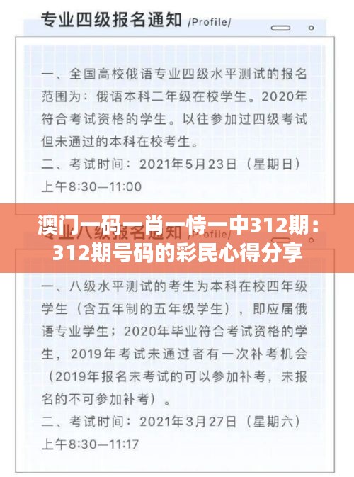 澳门一码一肖一恃一中312期：312期号码的彩民心得分享