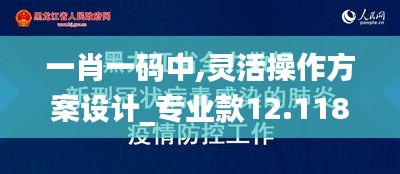 一肖一码中,灵活操作方案设计_专业款12.118