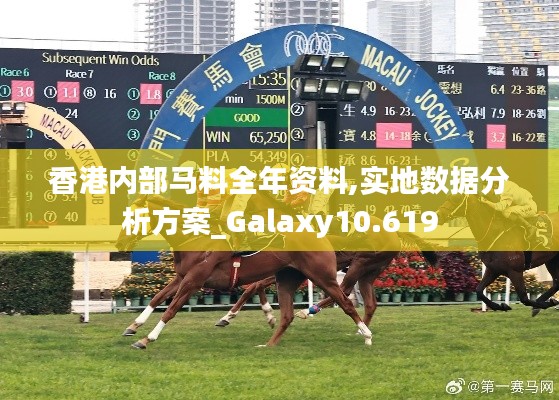 香港内部马料全年资料,实地数据分析方案_Galaxy10.619