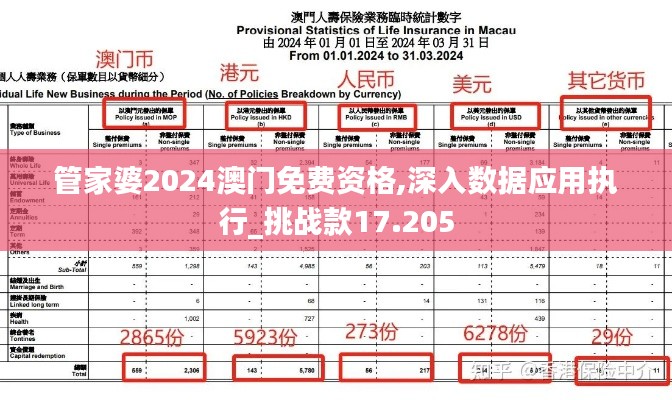 管家婆2024澳门免费资格,深入数据应用执行_挑战款17.205