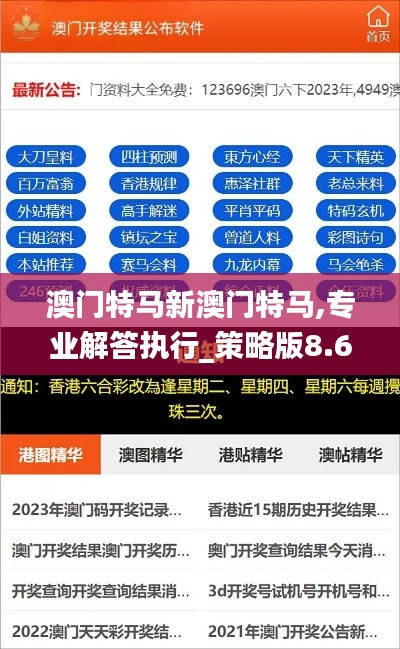 澳门特马新澳门特马,专业解答执行_策略版8.691