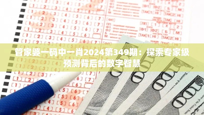 管家婆一码中一肖2024第349期：探索专家级预测背后的数字智慧