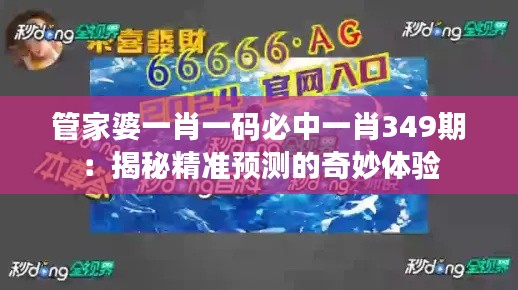 管家婆一肖一码必中一肖349期：揭秘精准预测的奇妙体验