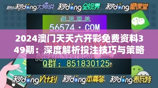 2024澳门天天六开彩免费资料349期：深度解析投注技巧与策略