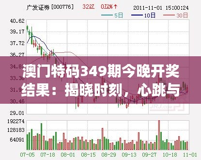 澳门特码349期今晚开奖结果：揭晓时刻，心跳与惊喜同在