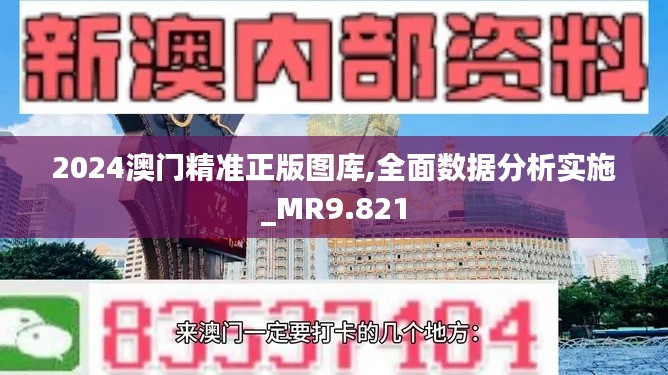 2024澳门精准正版图库,全面数据分析实施_MR9.821