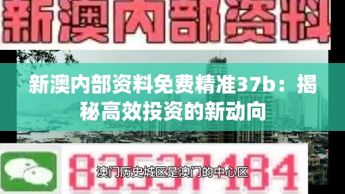 新澳内部资料免费精准37b：揭秘高效投资的新动向