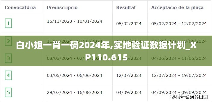 白小姐一肖一码2024年,实地验证数据计划_XP110.615