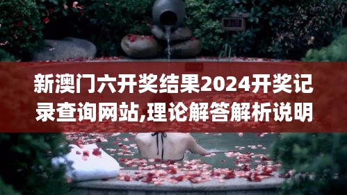 新澳门六开奖结果2024开奖记录查询网站,理论解答解析说明_Hybrid10.524