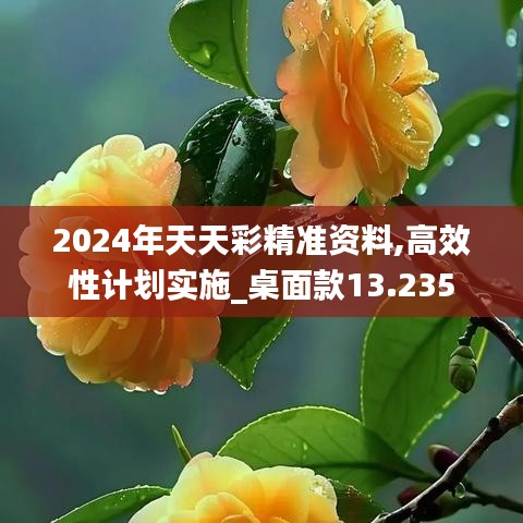 2024年天天彩精准资料,高效性计划实施_桌面款13.235