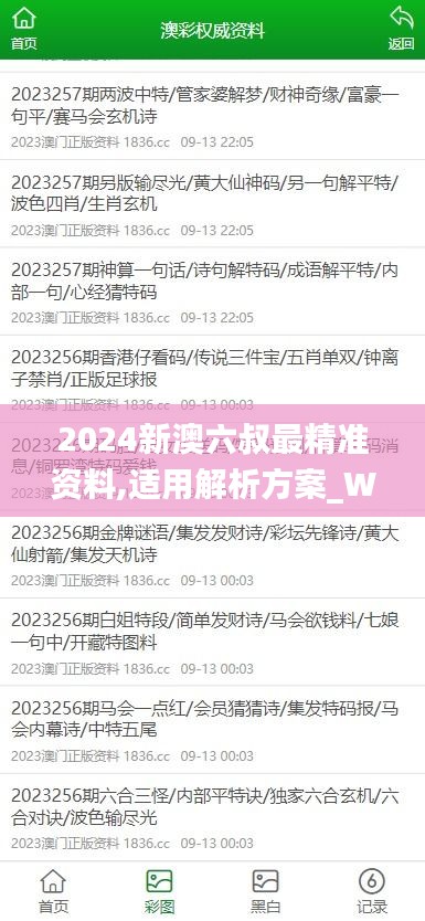 2024新澳六叔最精准资料,适用解析方案_WP5.519