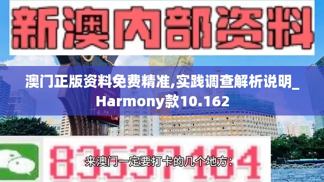 澳门正版资料免费精准,实践调查解析说明_Harmony款10.162