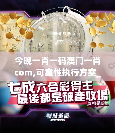 今晚一肖一码澳门一肖com,可靠性执行方案_T6.465