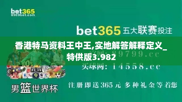 香港特马资料王中王,实地解答解释定义_特供版3.982