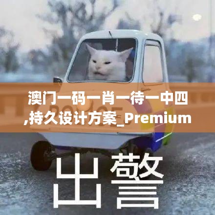 澳门一码一肖一待一中四,持久设计方案_Premium2.478