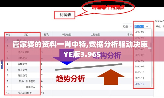管家婆的资料一肖中特,数据分析驱动决策_YE版3.965