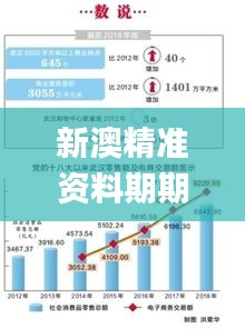 新澳精准资料期期精准,数据驱动策略设计_视频版1.115