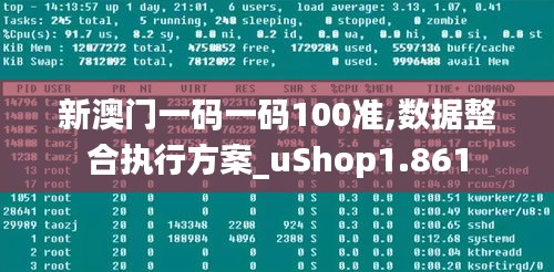 新澳门一码一码100准,数据整合执行方案_uShop1.861