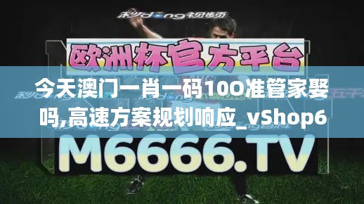 今天澳门一肖一码10O准管家娶吗,高速方案规划响应_vShop6.900