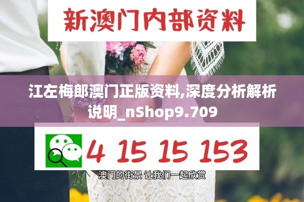 江左梅郎澳门正版资料,深度分析解析说明_nShop9.709