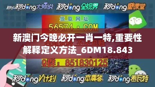 新澳门今晚必开一肖一特,重要性解释定义方法_6DM18.843