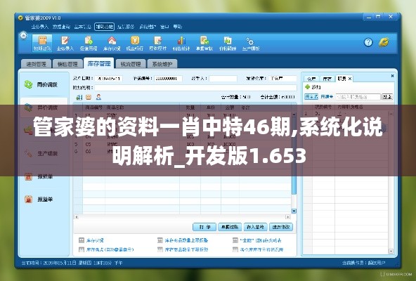 管家婆的资料一肖中特46期,系统化说明解析_开发版1.653