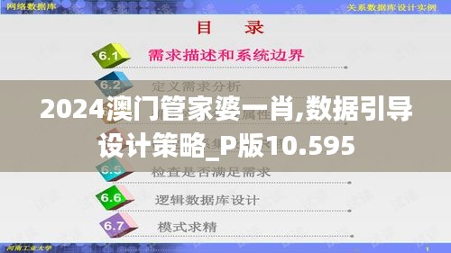 2024澳门管家婆一肖,数据引导设计策略_P版10.595